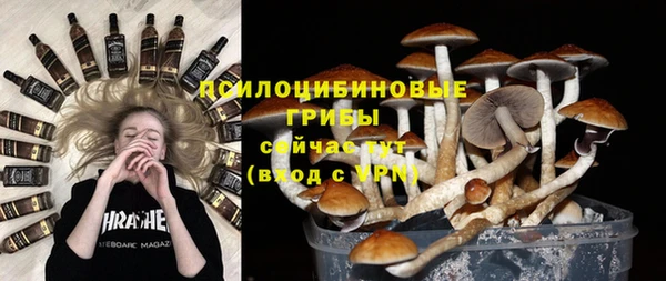 2c-b Беломорск