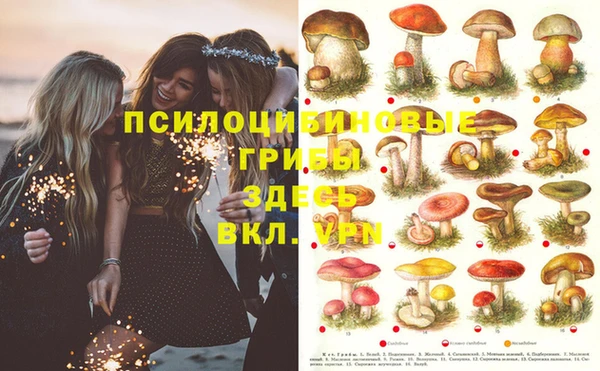 молекула духа Белокуриха